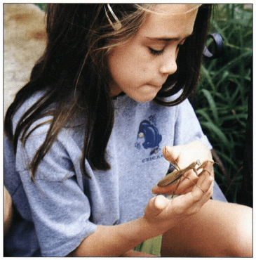 Forget Me Not girl holding praying mantis