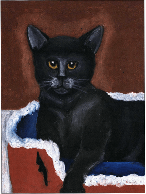 Sable a black cat