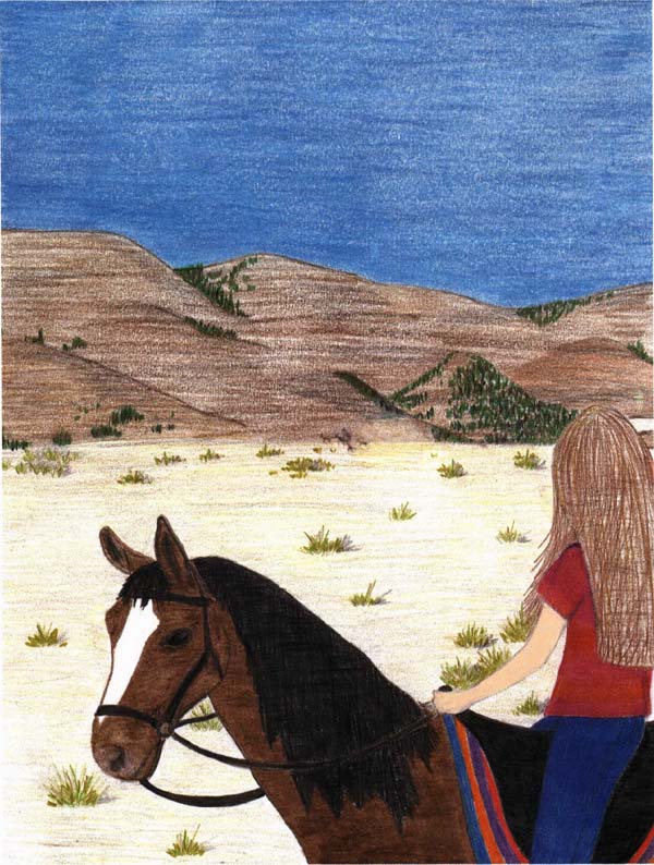 Emilys Mustang a girl riding her horse