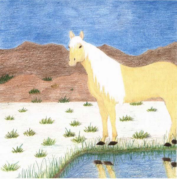Emilys Mustang bright beautiful horse