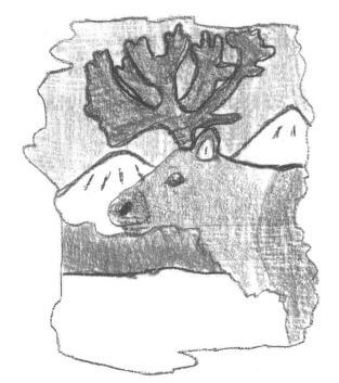 Lakota a caribou