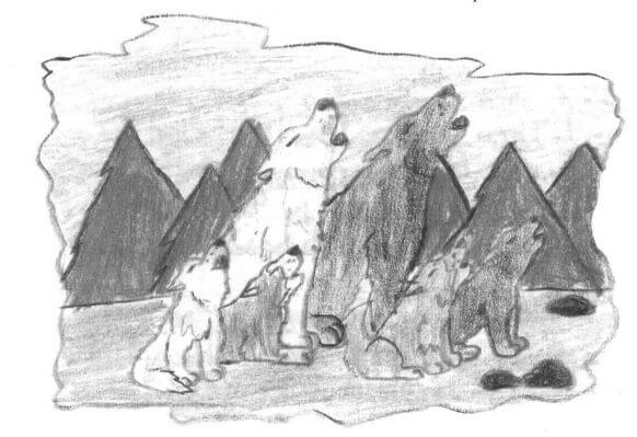 Lakota animals howling