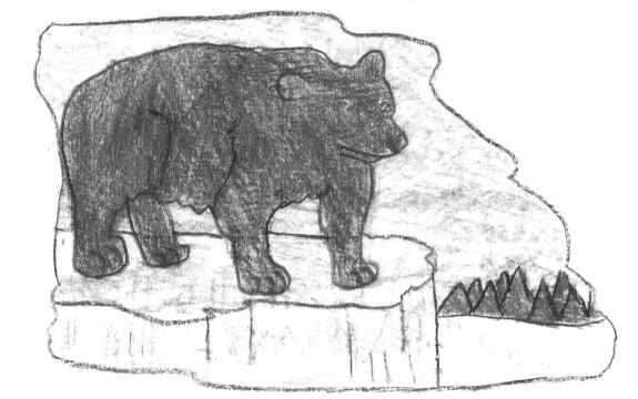 Lakota black bear
