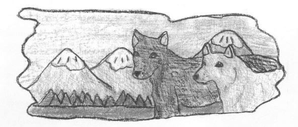 Lakota two animals