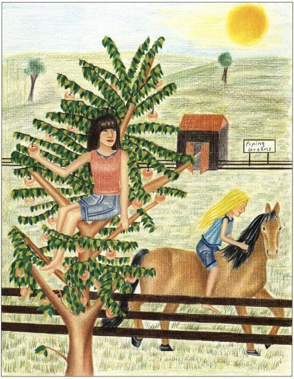 Memories up the tree