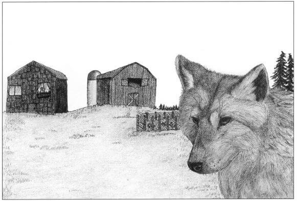 Enchantment of the Wolves a wolf in the yard