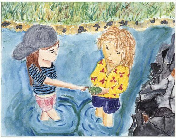 Foxes and Frogs children in the water