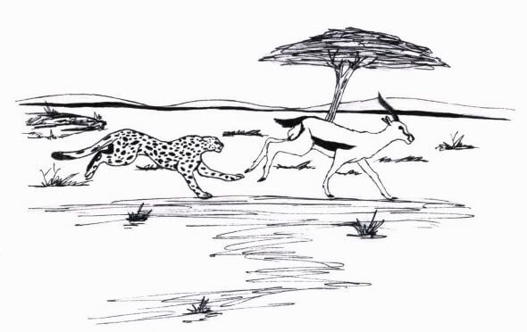 The Chase animals running