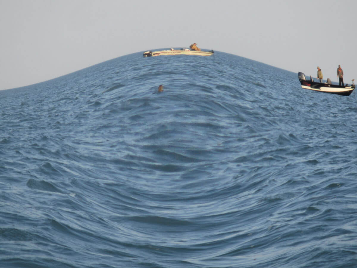 Look at the waves