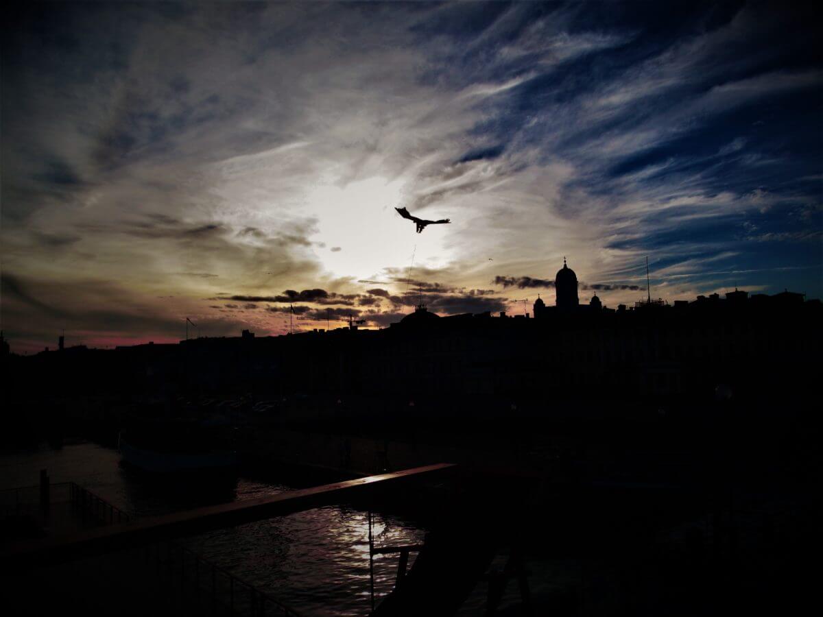 Silhouette City Lara Katz