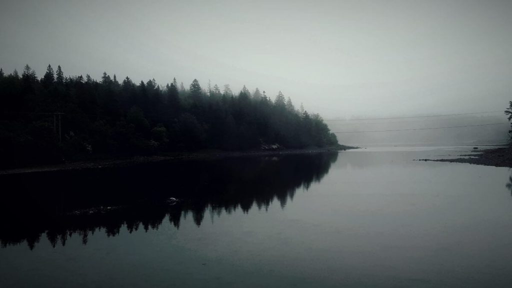 A photograph of an island in the mist.