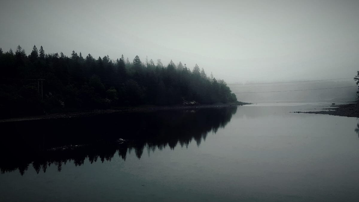 Mist at the Lake