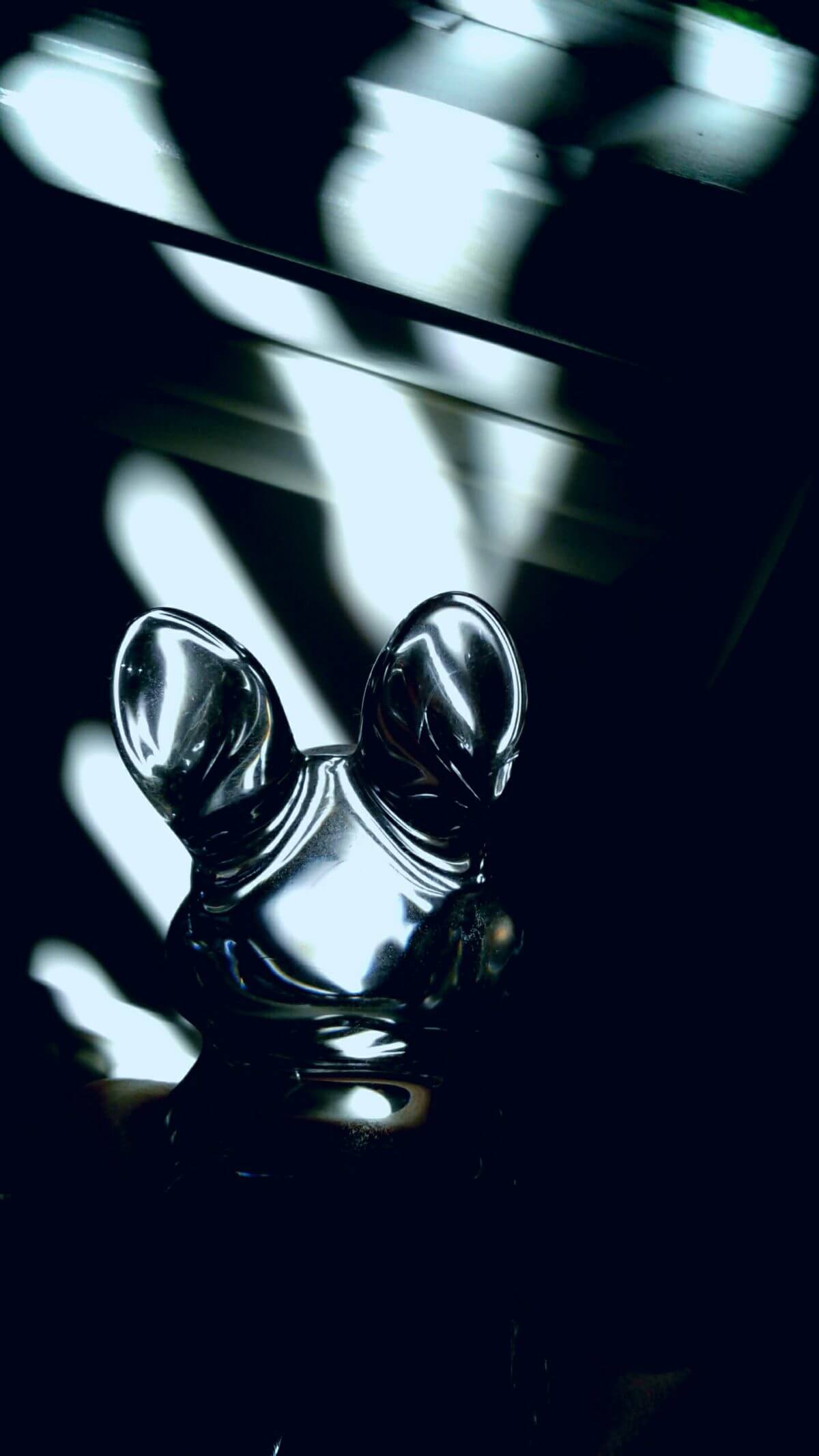 Glass Bunny