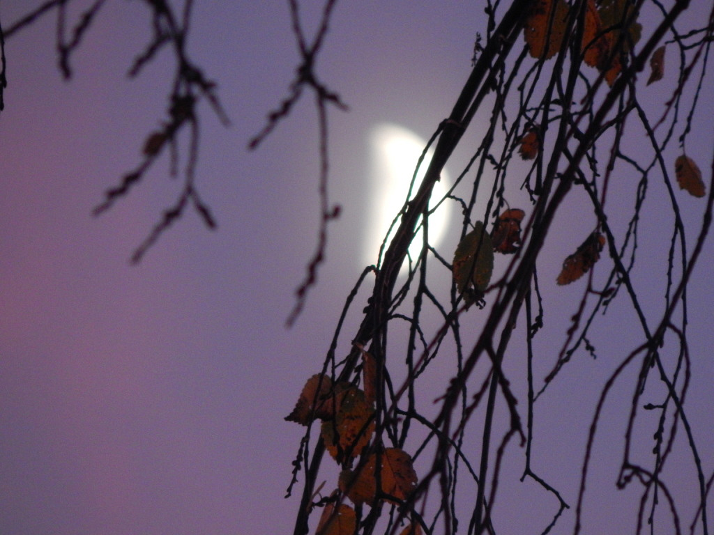 Hidden Moon