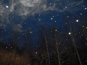 A photograph of a snowy night.