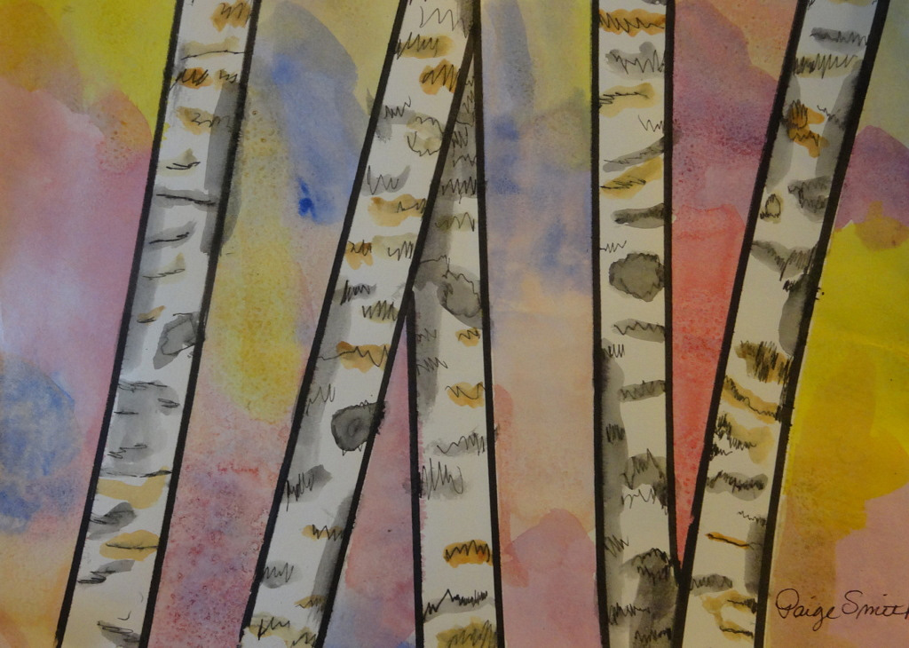 Paper Birch Trees