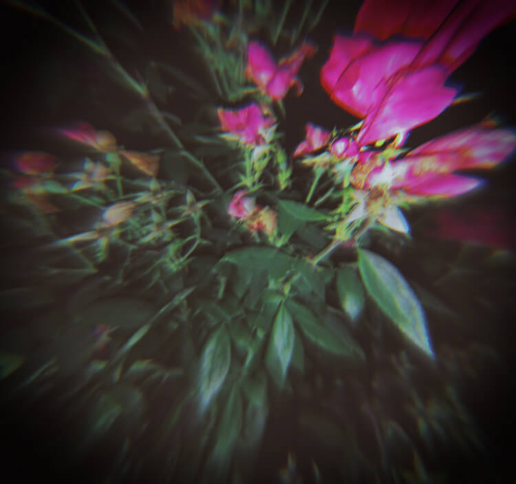 Blurred Love