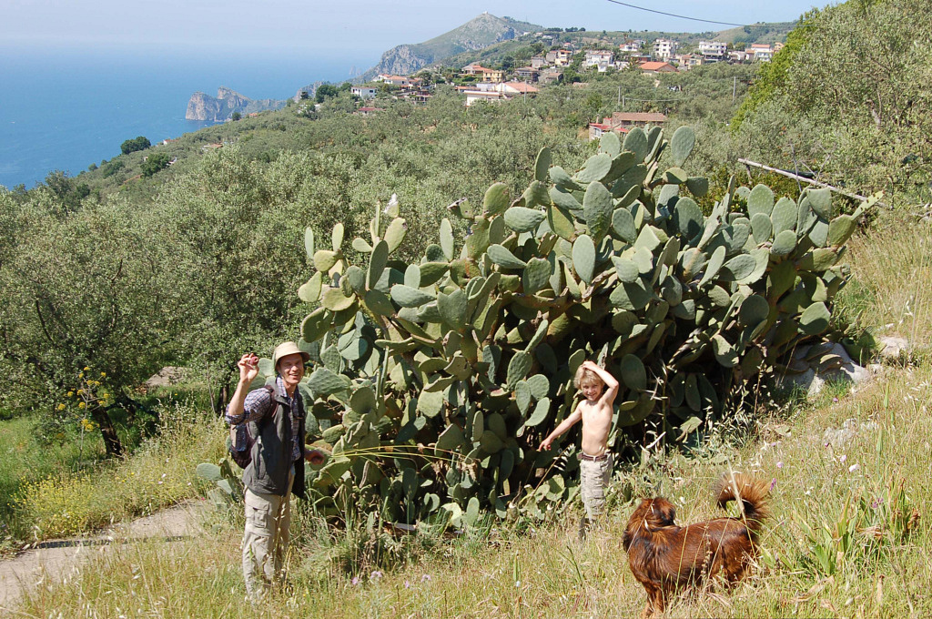 Figadindi