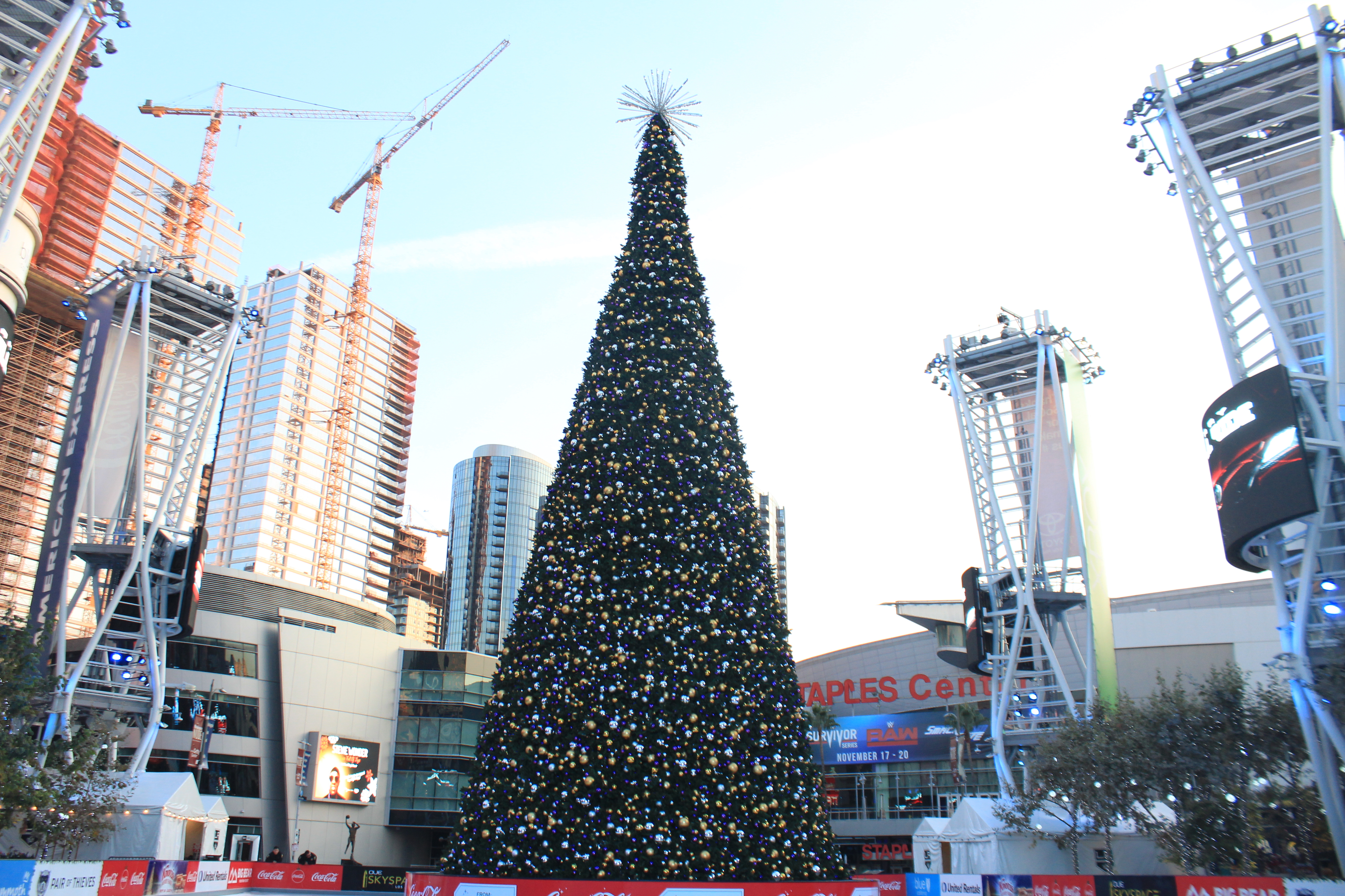 Cranes and Christmas Tree