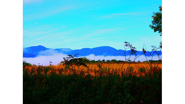 A vivid photograph of a misty landscape.
