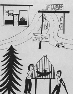 The Captive Birdcage