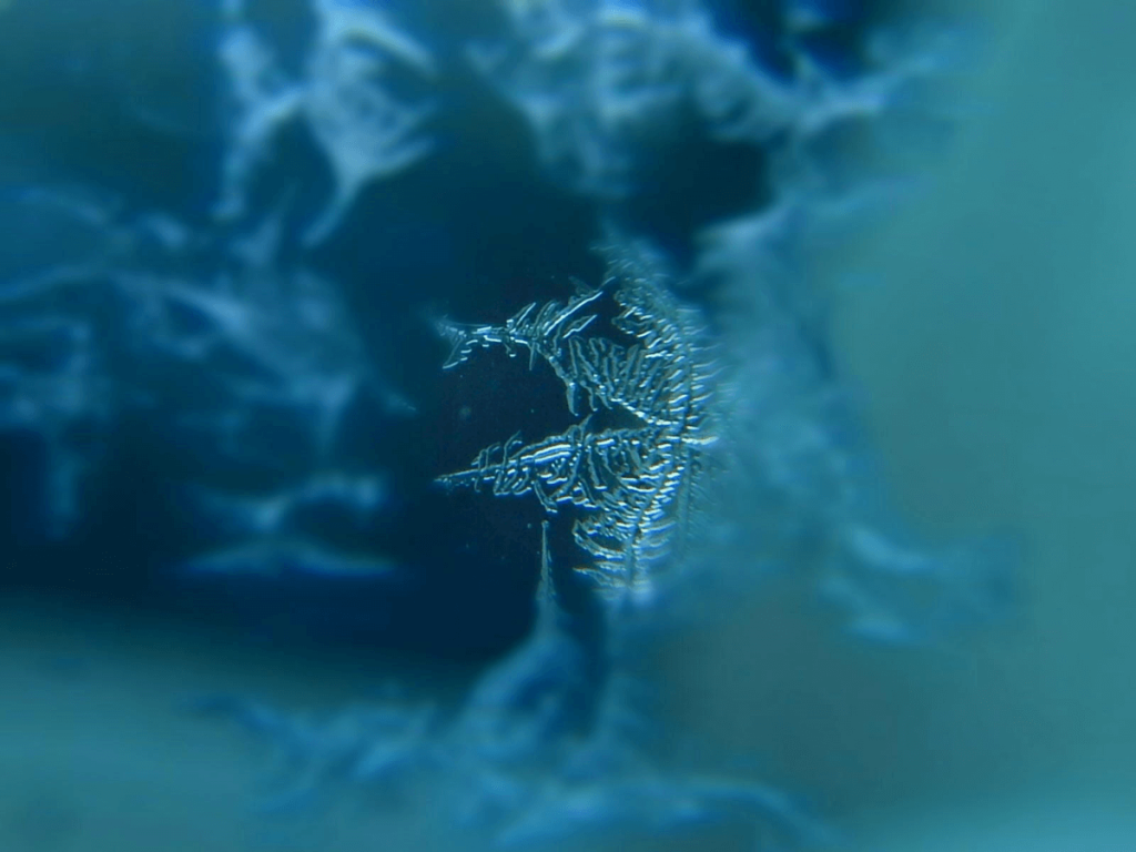 Snowflake Hiding in Blues