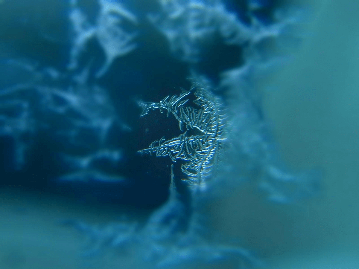 Snowflake Hiding in Blues