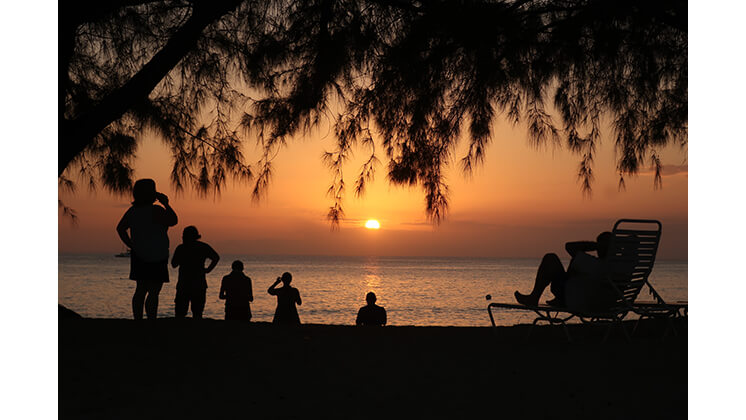 A photograph of silhouetted people and trees on a beach.