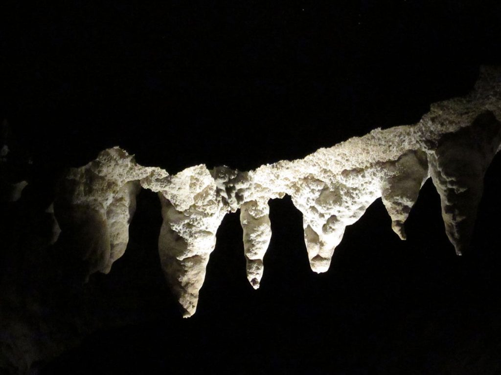 A photograph of stalactites lit dramatically against a black background.