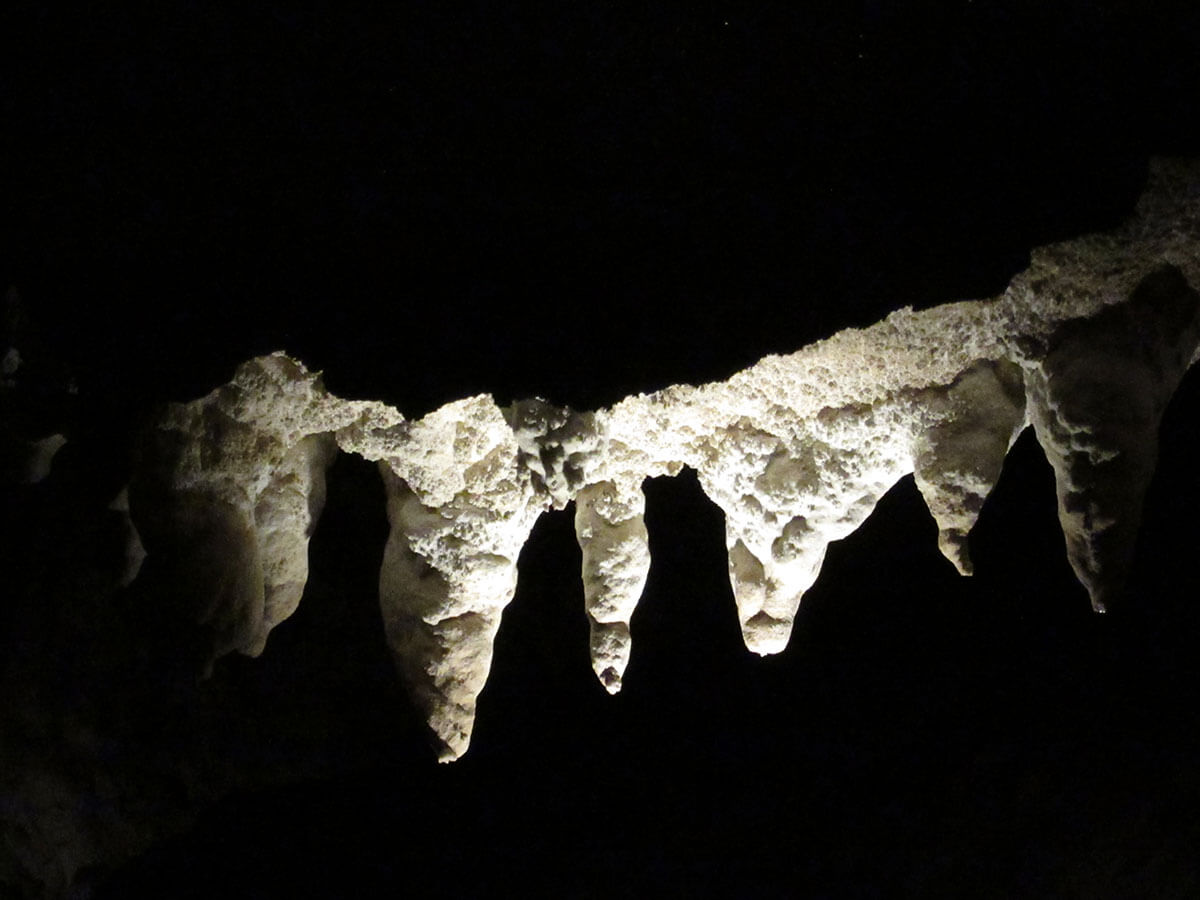 A photograph of stalactites lit dramatically against a black background.