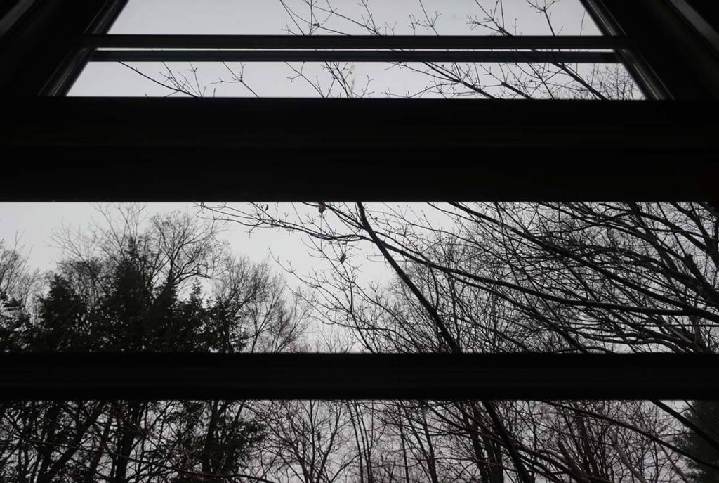 A black-and-white photograph of the view out a window.