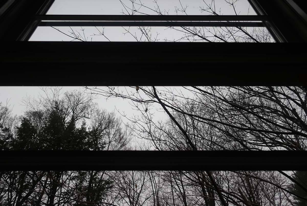 A black-and-white photograph of the view out a window.
