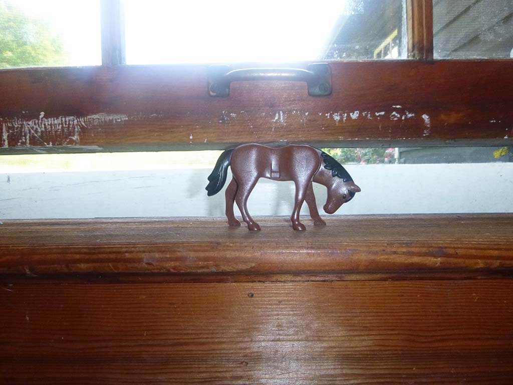 TheHorse