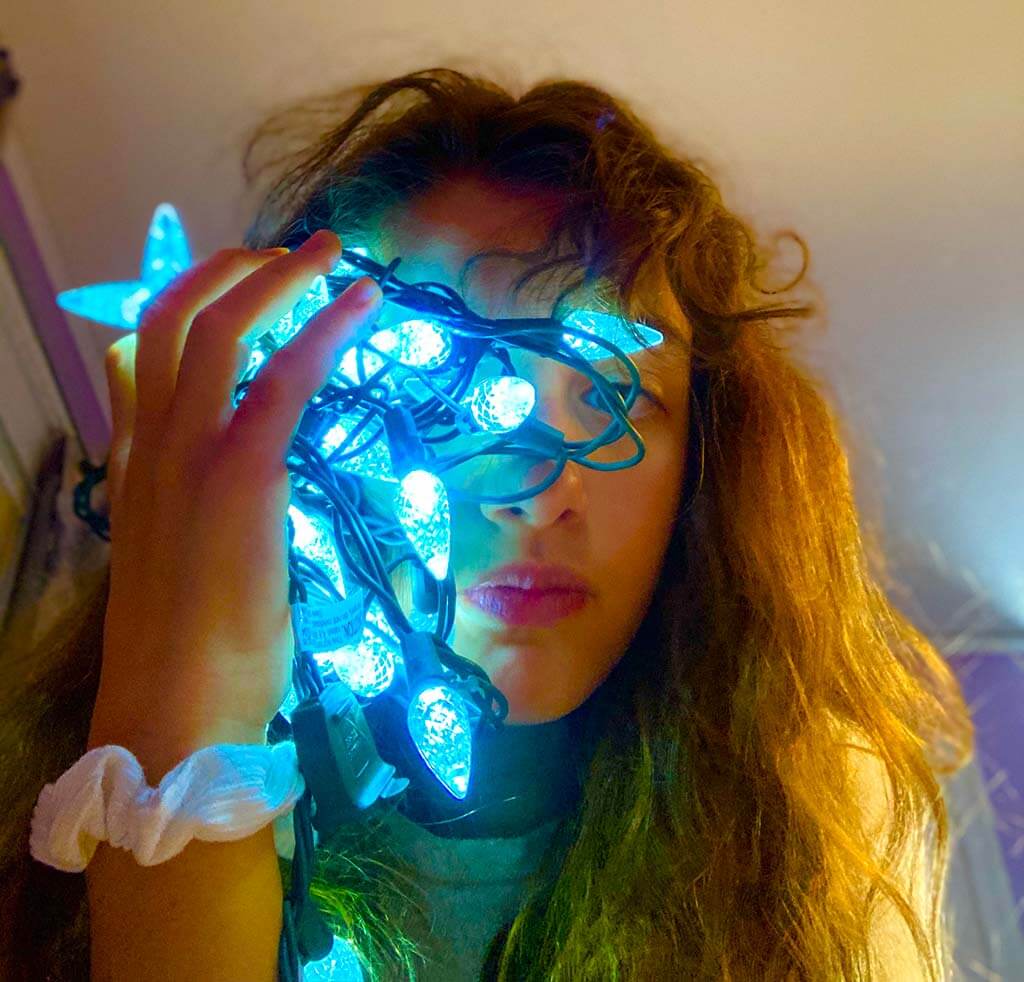 TheAttackoftheChristmasLights