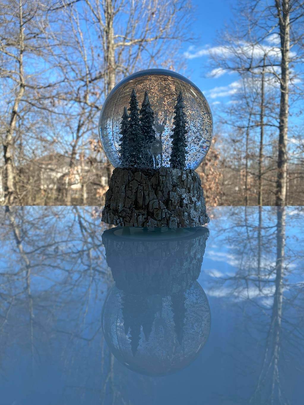Mirrored