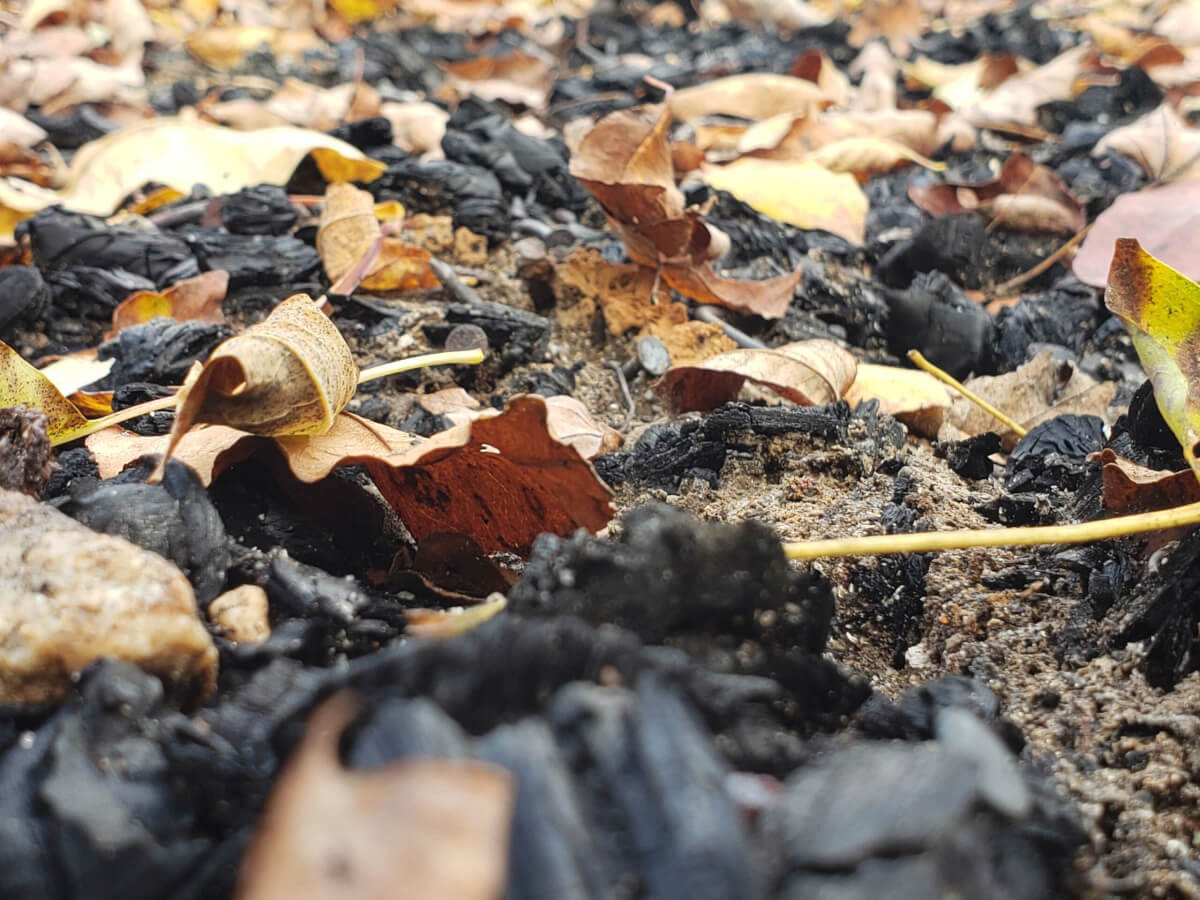 BeachinAutumn