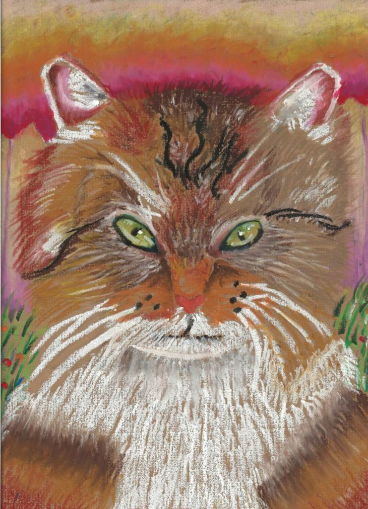 MyLovelyFriendCat
