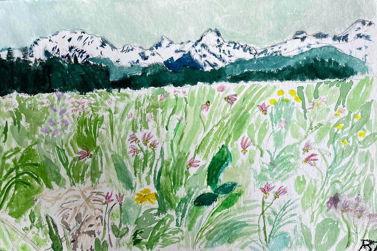 Meadow