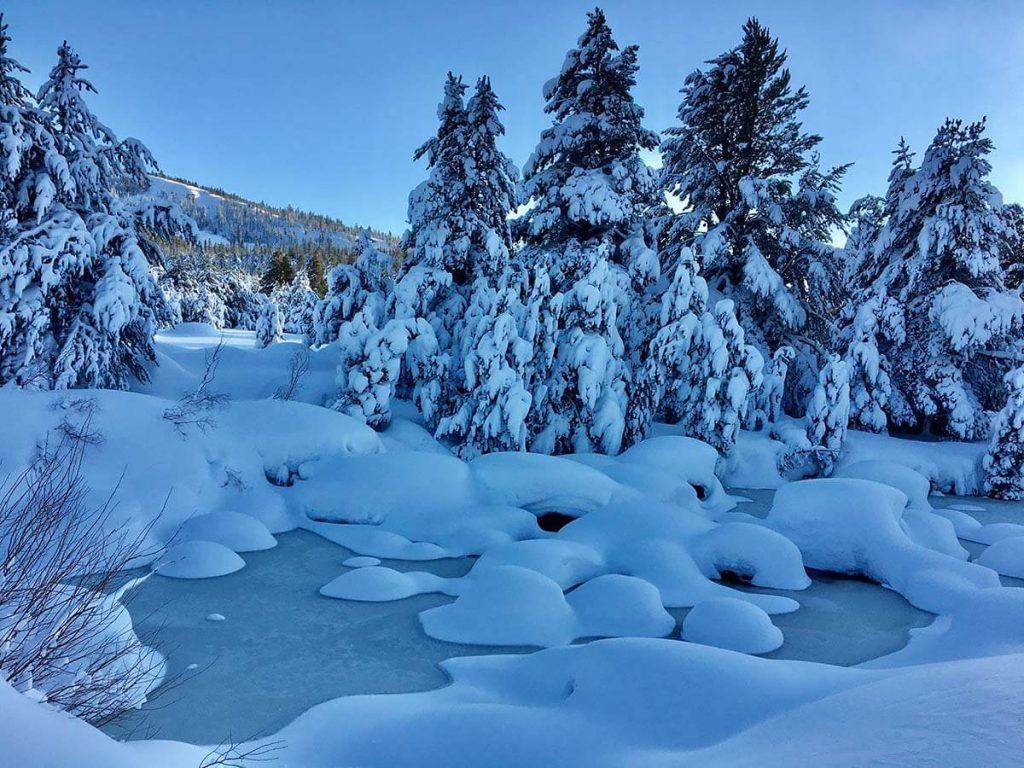 Snow-Stream