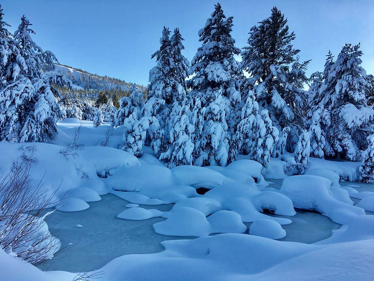 Snow-Stream