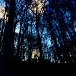 CloudsThroughtheTrees