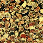 Abstract-Firewood