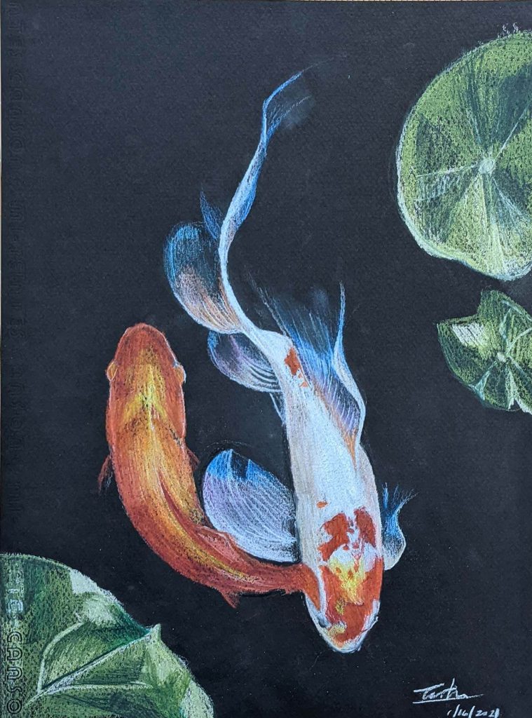 Koi Fish